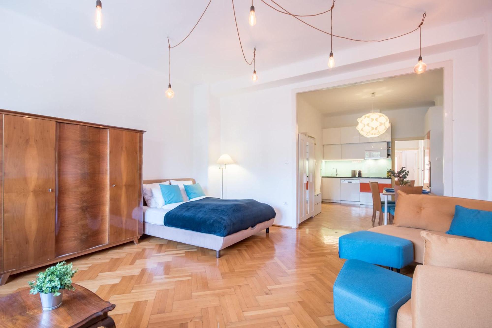 - Spacious - Classic Charm Apartment