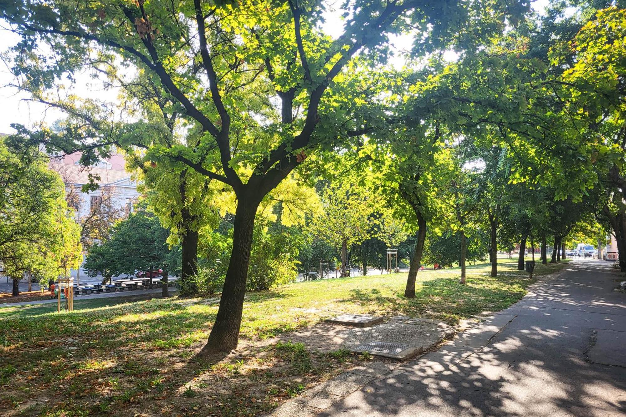Apartamento - Spacious - Classic Charm